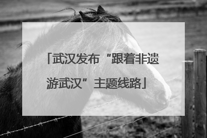 武汉发布“跟着非遗游武汉”主题线路