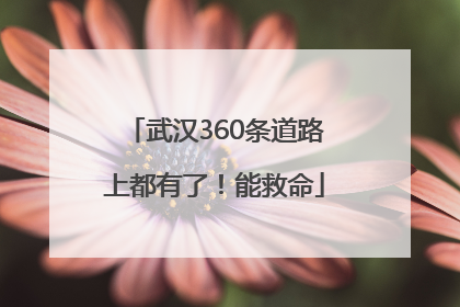 武汉360条道路上都有了！能救命