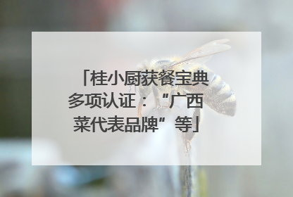 桂小厨获餐宝典多项认证：“广西菜代表品牌”等