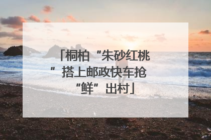 桐柏“朱砂红桃”搭上邮政快车抢“鲜”出村