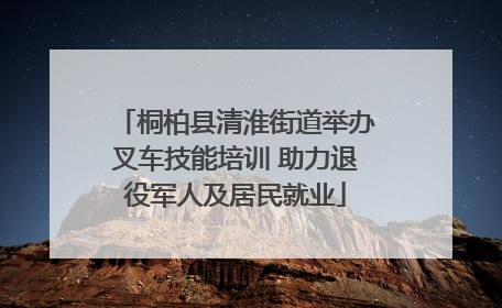 桐柏县清淮街道举办叉车技能培训 助力退役军人及居民就业