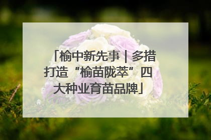 榆中新先事｜多措打造“榆苗陇萃”四大种业育苗品牌
