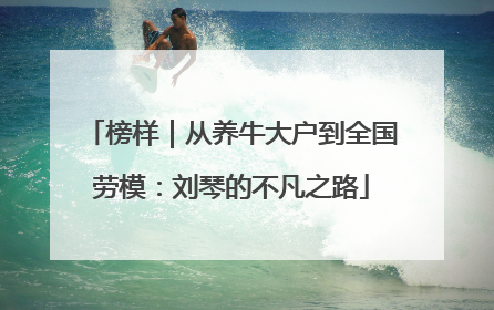 榜样｜从养牛大户到全国劳模：刘琴的不凡之路