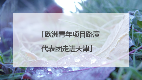 欧洲青年项目路演代表团走进天津