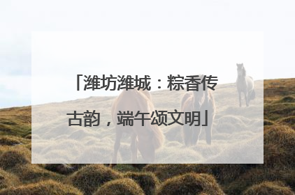 潍坊潍城：粽香传古韵，端午颂文明