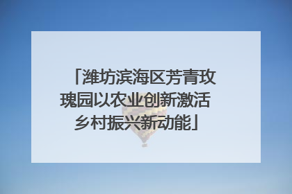 潍坊滨海区芳青玫瑰园以农业创新激活乡村振兴新动能