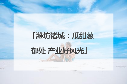 潍坊诸城：瓜甜葱郁处 产业好风光