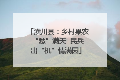 潢川县：乡村果农“愁”满天  民兵出“机”情满园