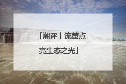 潮评丨流萤点亮生态之光