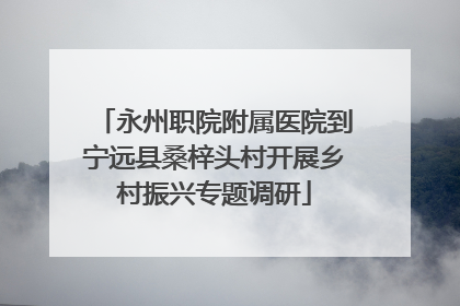 永州职院附属医院到宁远县桑梓头村开展乡村振兴专题调研