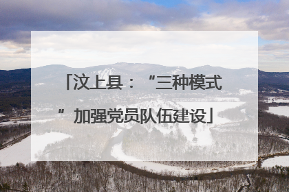 汶上县：“三种模式”加强党员队伍建设