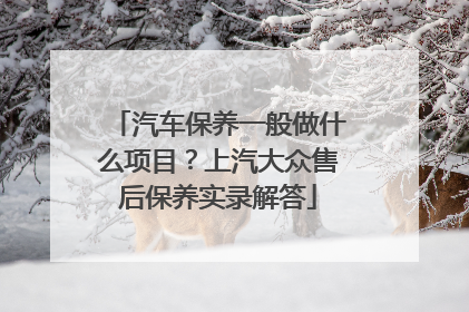 汽车保养一般做什么项目？上汽大众售后保养实录解答