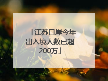江苏口岸今年出入境人数已超200万