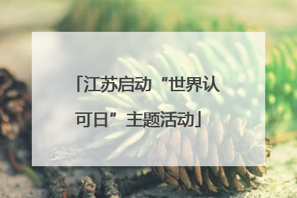 江苏启动“世界认可日”主题活动
