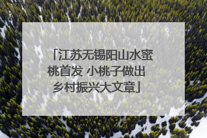 江苏无锡阳山水蜜桃首发 小桃子做出乡村振兴大文章