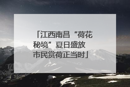 江西南昌“荷花秘境”夏日盛放 市民赏荷正当时