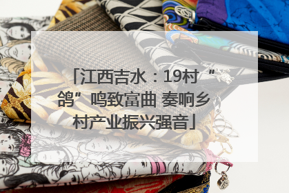 江西吉水：19村“鸽”鸣致富曲 奏响乡村产业振兴强音