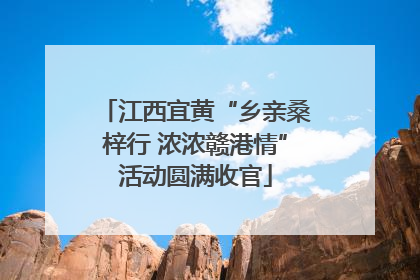 江西宜黄“乡亲桑梓行 浓浓赣港情”活动圆满收官