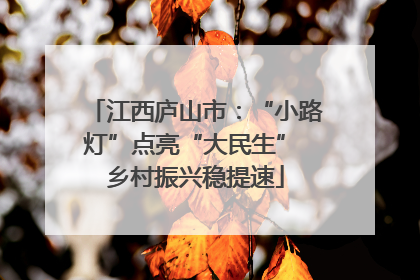 江西庐山市：“小路灯”点亮“大民生” 乡村振兴稳提速