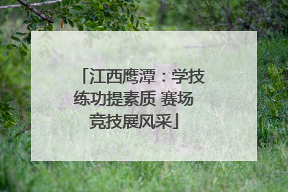 江西鹰潭：学技练功提素质 赛场竞技展风采