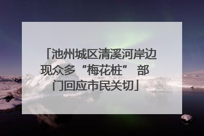 池州城区清溪河岸边现众多“梅花桩” 部门回应市民关切