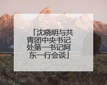 沈晓明与共青团中央书记处第一书记阿东一行会谈