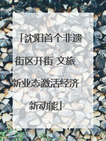 沈阳首个非遗街区开街 文旅新业态激活经济新动能