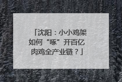 沈阳：小小鸡架如何“啄”开百亿肉鸡全产业链？