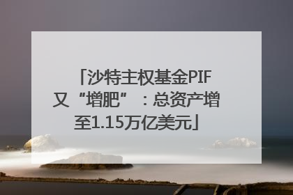 沙特主权基金PIF又“增肥”：总资产增至1.15万亿美元