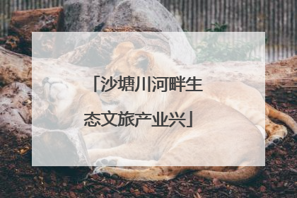 沙塘川河畔生态文旅产业兴