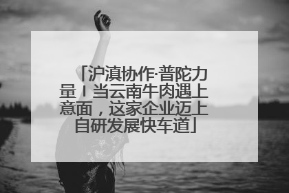 沪滇协作·普陀力量〡当云南牛肉遇上意面，这家企业迈上自研发展快车道