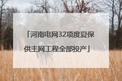 河南电网32项度夏保供主网工程全部投产