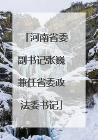 河南省委副书记张巍兼任省委政法委书记