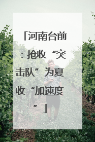 河南台前：抢收“突击队”为夏收“加速度”