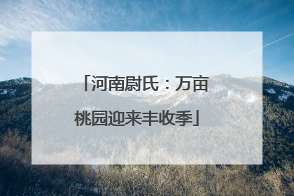 河南尉氏：万亩桃园迎来丰收季