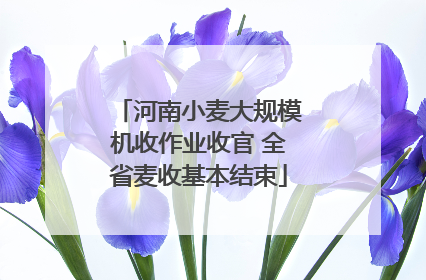 河南小麦大规模机收作业收官 全省麦收基本结束