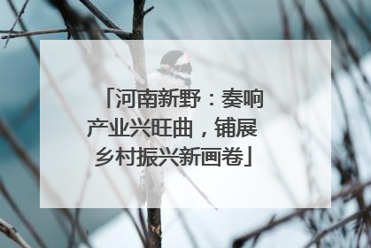 河南新野：奏响产业兴旺曲，铺展乡村振兴新画卷