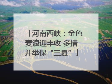河南西峡：金色麦浪迎丰收 多措并举保“三夏”