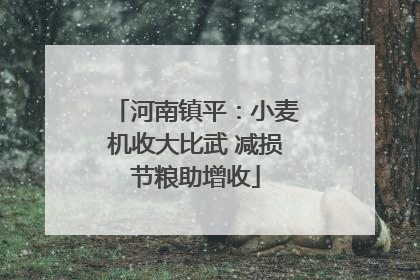 河南镇平：小麦机收大比武 减损节粮助增收