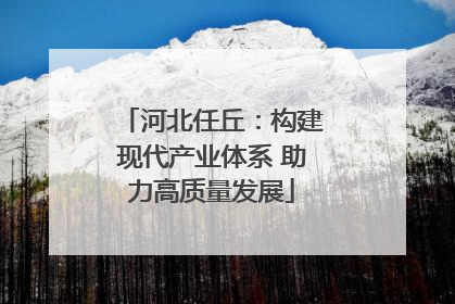 河北任丘：构建现代产业体系 助力高质量发展