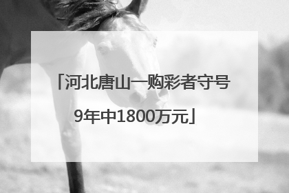 河北唐山一购彩者守号9年中1800万元