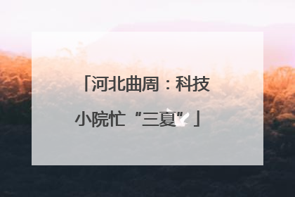 河北曲周：科技小院忙“三夏”
