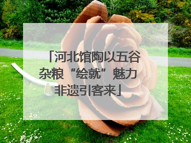 河北馆陶以五谷杂粮“绘就”魅力非遗引客来