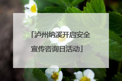 泸州纳溪开启安全宣传咨询日活动