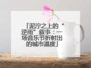 泥泞之上的“逆雨”叙事：一场音乐节折射出的城市温度