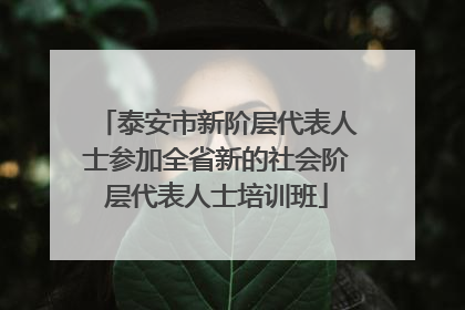 泰安市新阶层代表人士参加全省新的社会阶层代表人士培训班