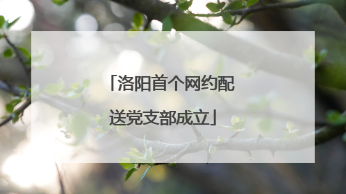 洛阳首个网约配送党支部成立
