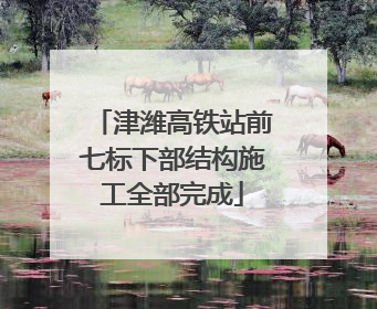 津潍高铁站前七标下部结构施工全部完成