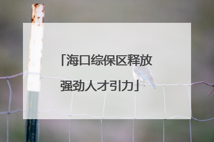 海口综保区释放强劲人才引力