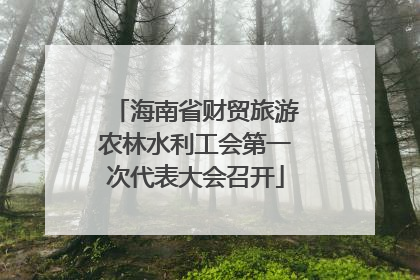 海南省财贸旅游农林水利工会第一次代表大会召开